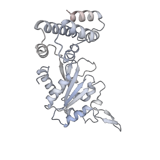 32114_7vsr_D_v1-0
Structure of McrBC (stalkless mutant)
