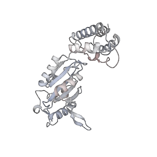 32114_7vsr_E_v1-0
Structure of McrBC (stalkless mutant)