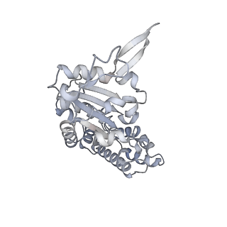 32114_7vsr_G_v1-0
Structure of McrBC (stalkless mutant)