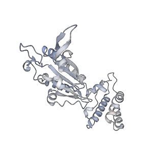 32114_7vsr_H_v1-0
Structure of McrBC (stalkless mutant)