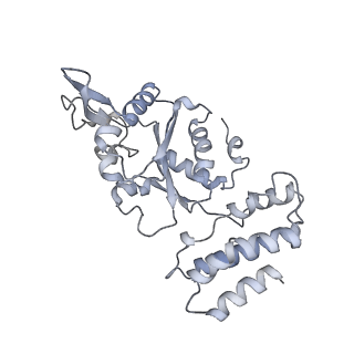 32114_7vsr_I_v1-0
Structure of McrBC (stalkless mutant)