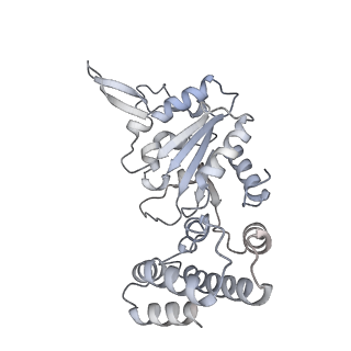 32114_7vsr_J_v1-0
Structure of McrBC (stalkless mutant)