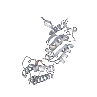 32114_7vsr_K_v1-0
Structure of McrBC (stalkless mutant)