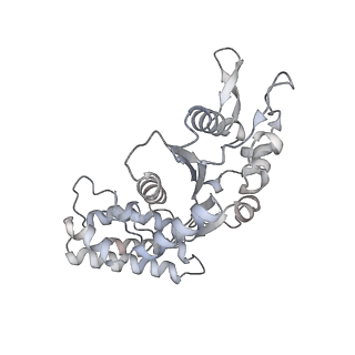 32114_7vsr_L_v1-0
Structure of McrBC (stalkless mutant)