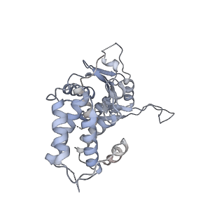 32114_7vsr_M_v1-0
Structure of McrBC (stalkless mutant)