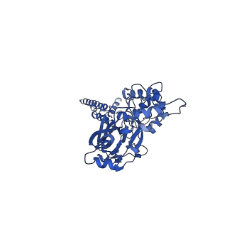 21380_6vtk_C_v1-2
Structure of an acid-sensing ion channel solubilized by styrene maleic acid and in a desensitized state at low pH