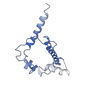 21383_6vtt_C_v1-0
Cryo-EM Structure of CAP256-VRC26.25 Fab bound to HIV-1 Env trimer CAP256.wk34.c80 SOSIP.RnS2