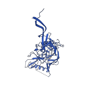 21383_6vtt_E_v2-1
Cryo-EM Structure of CAP256-VRC26.25 Fab bound to HIV-1 Env trimer CAP256.wk34.c80 SOSIP.RnS2