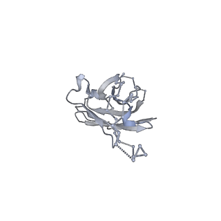 21383_6vtt_H_v1-0
Cryo-EM Structure of CAP256-VRC26.25 Fab bound to HIV-1 Env trimer CAP256.wk34.c80 SOSIP.RnS2