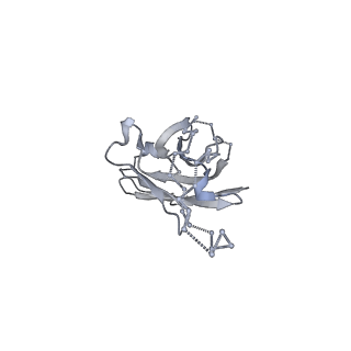 21383_6vtt_H_v2-1
Cryo-EM Structure of CAP256-VRC26.25 Fab bound to HIV-1 Env trimer CAP256.wk34.c80 SOSIP.RnS2