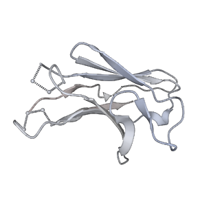 21383_6vtt_L_v1-0
Cryo-EM Structure of CAP256-VRC26.25 Fab bound to HIV-1 Env trimer CAP256.wk34.c80 SOSIP.RnS2