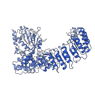 32119_7vtp_A_v1-1
Cryo-EM structure of PYD-deleted human NLRP3 hexamer