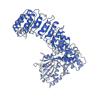 32119_7vtp_B_v1-1
Cryo-EM structure of PYD-deleted human NLRP3 hexamer