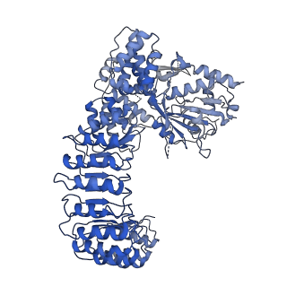 32119_7vtp_C_v1-1
Cryo-EM structure of PYD-deleted human NLRP3 hexamer