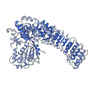 32119_7vtp_D_v1-1
Cryo-EM structure of PYD-deleted human NLRP3 hexamer