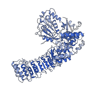 32119_7vtp_E_v1-1
Cryo-EM structure of PYD-deleted human NLRP3 hexamer