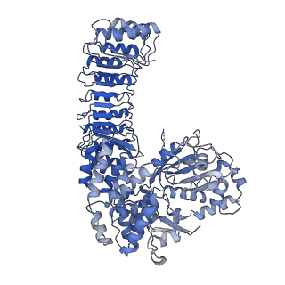 32119_7vtp_F_v1-1
Cryo-EM structure of PYD-deleted human NLRP3 hexamer