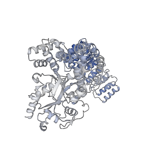 32120_7vtq_B_v1-1
Cryo-EM structure of mouse NLRP3 (full-length) dodecamer