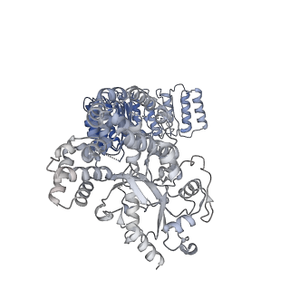 32120_7vtq_C_v1-1
Cryo-EM structure of mouse NLRP3 (full-length) dodecamer