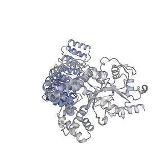 32120_7vtq_D_v1-1
Cryo-EM structure of mouse NLRP3 (full-length) dodecamer