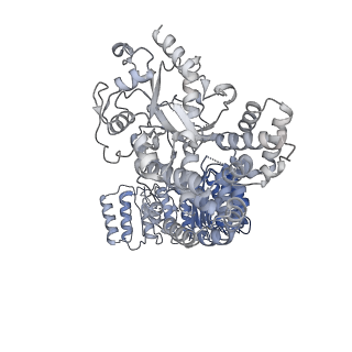 32120_7vtq_F_v1-1
Cryo-EM structure of mouse NLRP3 (full-length) dodecamer