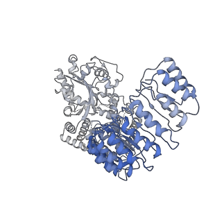 32120_7vtq_H_v1-1
Cryo-EM structure of mouse NLRP3 (full-length) dodecamer