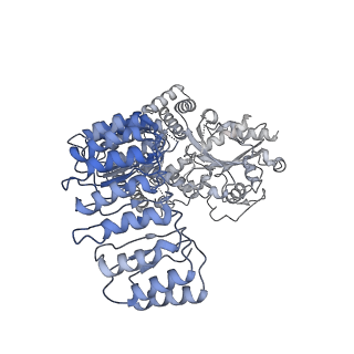 32120_7vtq_J_v1-1
Cryo-EM structure of mouse NLRP3 (full-length) dodecamer