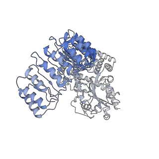 32120_7vtq_K_v1-1
Cryo-EM structure of mouse NLRP3 (full-length) dodecamer