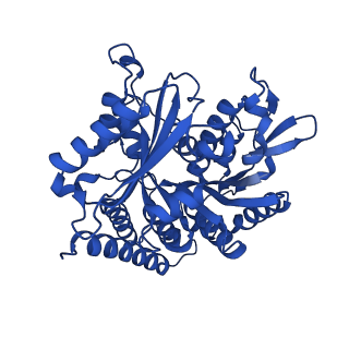 43519_8vt7_A_v1-0
Structure of the gamma tubulin ring complex nucleated microtubule protofilament.