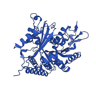 43519_8vt7_B_v1-0
Structure of the gamma tubulin ring complex nucleated microtubule protofilament.