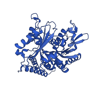 43519_8vt7_F_v1-0
Structure of the gamma tubulin ring complex nucleated microtubule protofilament.