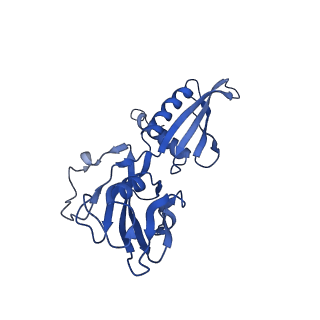 8732_5vt0_G_v1-2
Escherichia coli 6S RNA derivative in complex with Escherichia coli RNA polymerase sigma70-holoenzyme