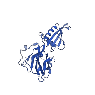 8732_5vt0_G_v1-3
Escherichia coli 6S RNA derivative in complex with Escherichia coli RNA polymerase sigma70-holoenzyme