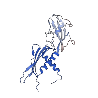 8732_5vt0_H_v1-2
Escherichia coli 6S RNA derivative in complex with Escherichia coli RNA polymerase sigma70-holoenzyme