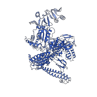8732_5vt0_I_v1-2
Escherichia coli 6S RNA derivative in complex with Escherichia coli RNA polymerase sigma70-holoenzyme