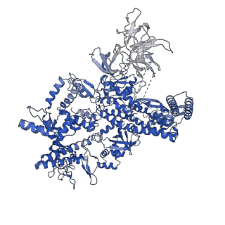 8732_5vt0_J_v1-2
Escherichia coli 6S RNA derivative in complex with Escherichia coli RNA polymerase sigma70-holoenzyme