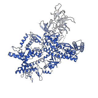 8732_5vt0_J_v1-3
Escherichia coli 6S RNA derivative in complex with Escherichia coli RNA polymerase sigma70-holoenzyme