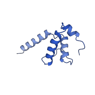 8732_5vt0_K_v1-2
Escherichia coli 6S RNA derivative in complex with Escherichia coli RNA polymerase sigma70-holoenzyme