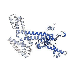 8732_5vt0_L_v1-2
Escherichia coli 6S RNA derivative in complex with Escherichia coli RNA polymerase sigma70-holoenzyme