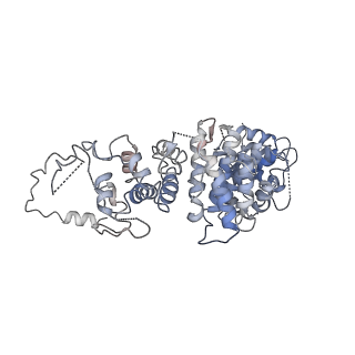 21387_6vu5_A_v1-1
Structure of G-alpha-q bound to its chaperone Ric-8A