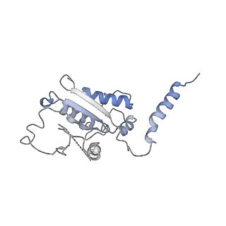 21388_6vu8_B_v1-1
Structure of G-alpha-i bound to its chaperone Ric-8A