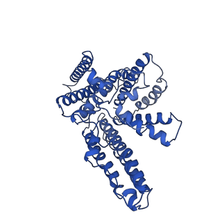 21390_6vum_A_v1-1
Structure of nevanimibe-bound human tetrameric ACAT1