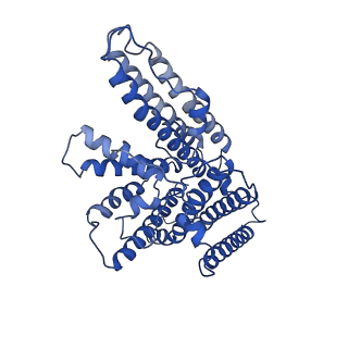 21390_6vum_B_v1-1
Structure of nevanimibe-bound human tetrameric ACAT1