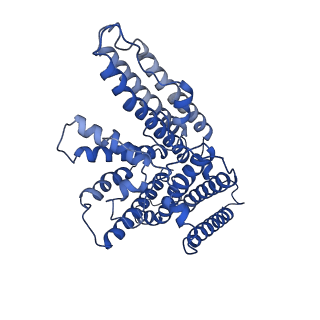 21390_6vum_B_v1-2
Structure of nevanimibe-bound human tetrameric ACAT1