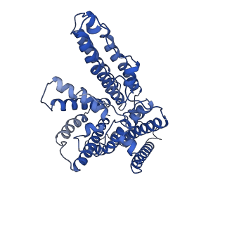 21390_6vum_C_v1-1
Structure of nevanimibe-bound human tetrameric ACAT1
