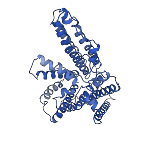 21390_6vum_C_v1-2
Structure of nevanimibe-bound human tetrameric ACAT1