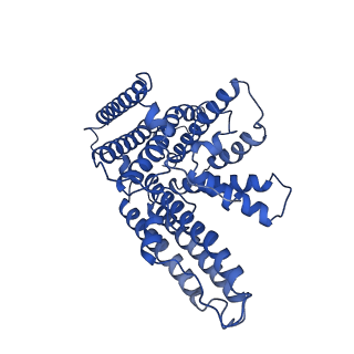 21390_6vum_D_v1-1
Structure of nevanimibe-bound human tetrameric ACAT1