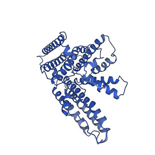 21390_6vum_D_v1-2
Structure of nevanimibe-bound human tetrameric ACAT1