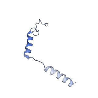 32127_7vug_C_v1-1
Cryo-EM structure of a class A orphan GPCR in complex with Gi