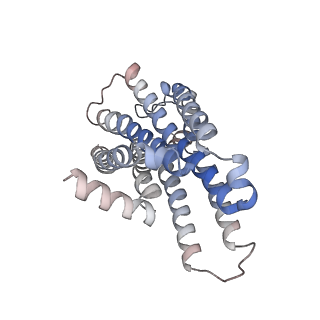 32127_7vug_R_v1-1
Cryo-EM structure of a class A orphan GPCR in complex with Gi